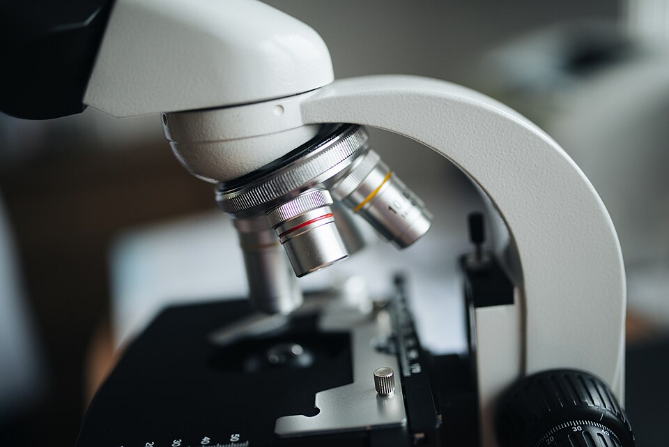 Zbliżenie mikroskopu laboratoryjnego. Fot. Shixart1985; źródło: https://commons.wikimedia.org/wiki/File:Close-up_of_the_objective_lenses_of_a_microscope.jpg; licencja: CC BY 2.0 (https://creativecommons.org/licenses/by/2.0/)